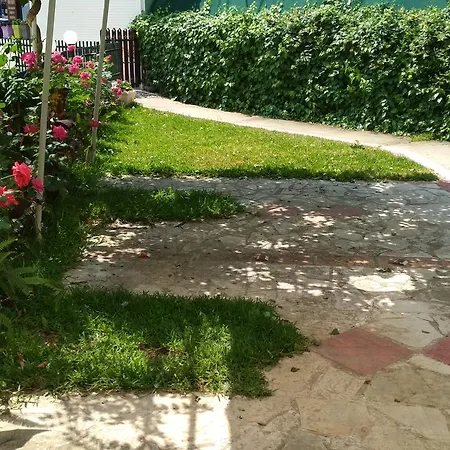 Pensjonat Gogo's - γωγώ & Nydri (Lefkada)
