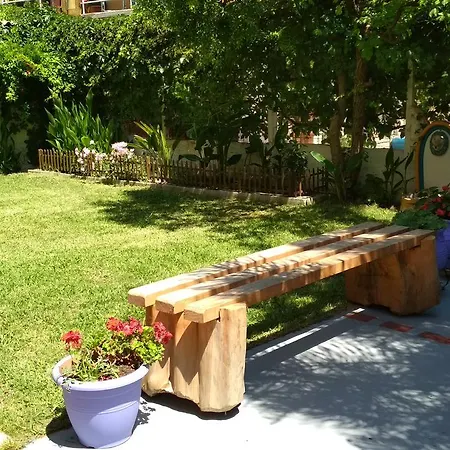 Pensiune Gogo's - γωγώ &